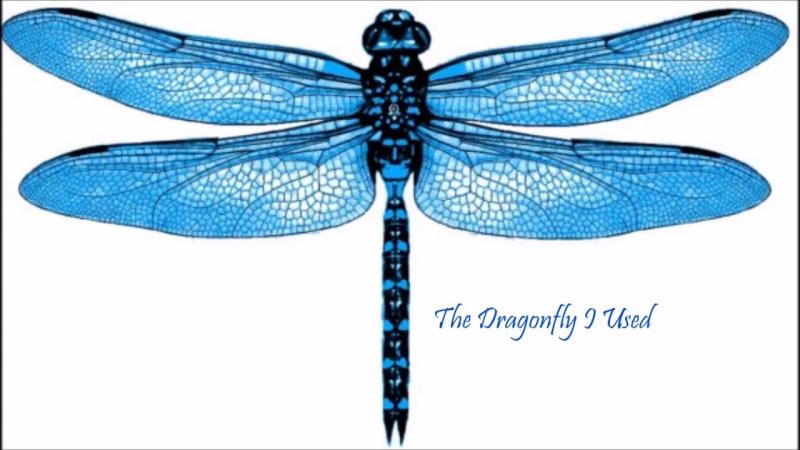 Discover the 15 Best Dragonfly Shaft Identification Tips: Unlock the Secrets to Identifying Dragonflies in 2023