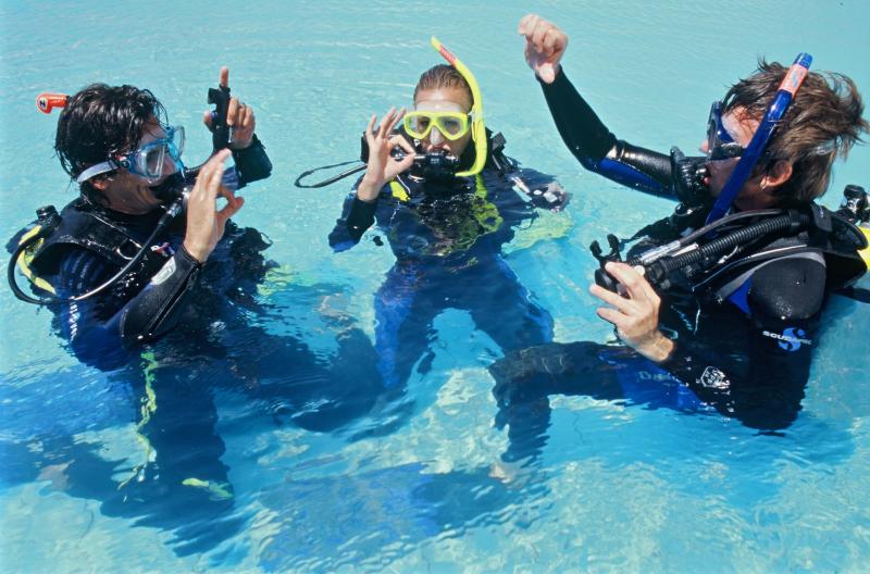 Dive Into Style This Winter: 15 Must-Have Scuba Sweaters To Try Now