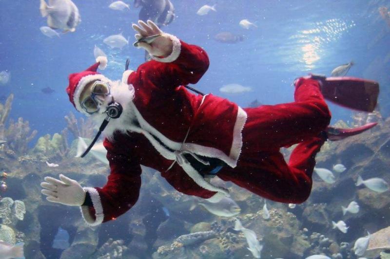 Dive Into Style This Winter: 15 Must-Have Scuba Sweaters To Try Now