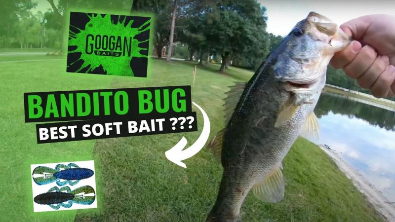 Do Googan