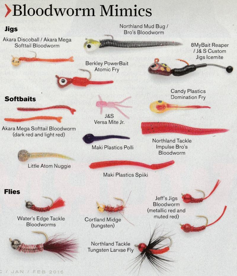 Do These Gulp Bloodworms Work: How To Catch More Fish Using Bloodworms For Bait