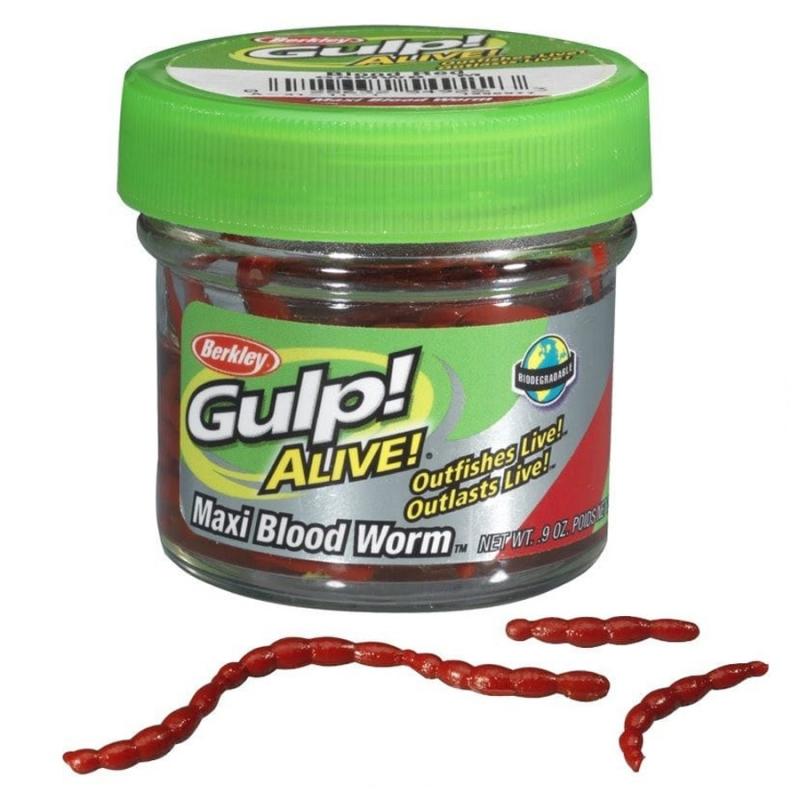 Do These Gulp Bloodworms Work: How To Catch More Fish Using Bloodworms For Bait