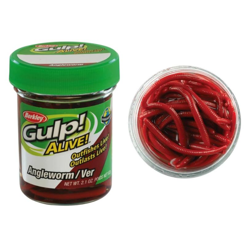 Do These Gulp Bloodworms Work: How To Catch More Fish Using Bloodworms For Bait