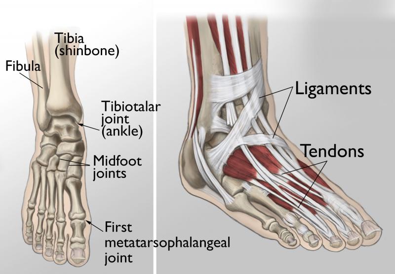 Do You Suffer From Achilles Tendon Pain. Check Out These Top Copper-Infused Ankle Supports
