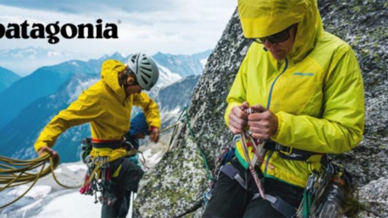 Does Alpine Design