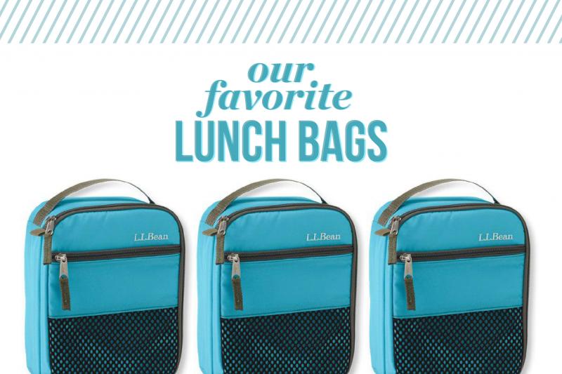 Does This Hydro Lunch Bag Keep Meals Cold For 8+ Hours