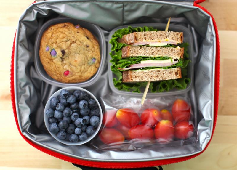 Does This Hydro Lunch Bag Keep Meals Cold For 8+ Hours