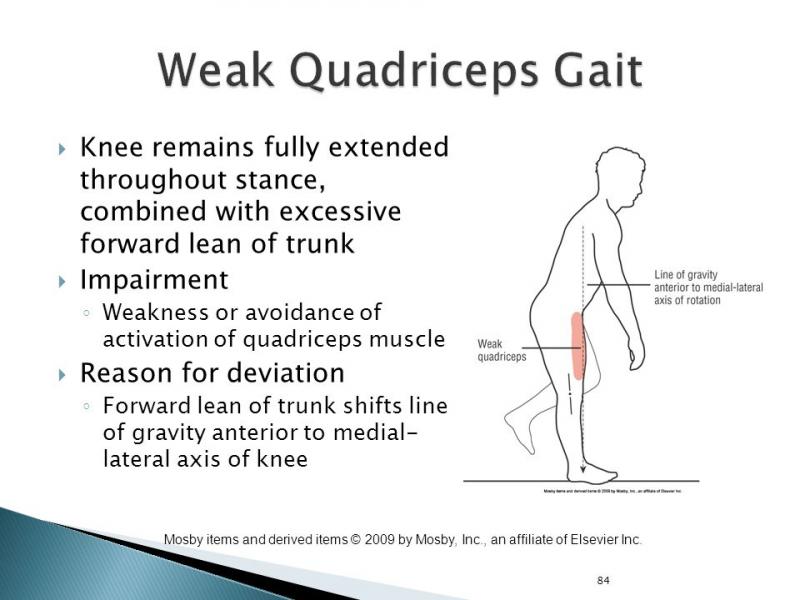 Does Your Team Have the Best Gait Lacrosse Gear This Year. :15 Ways to Improve Your Lacrosse Equipment With Gait