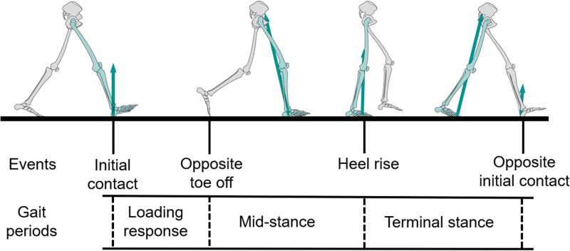 Does Your Team Have the Best Gait Lacrosse Gear This Year. :15 Ways to Improve Your Lacrosse Equipment With Gait
