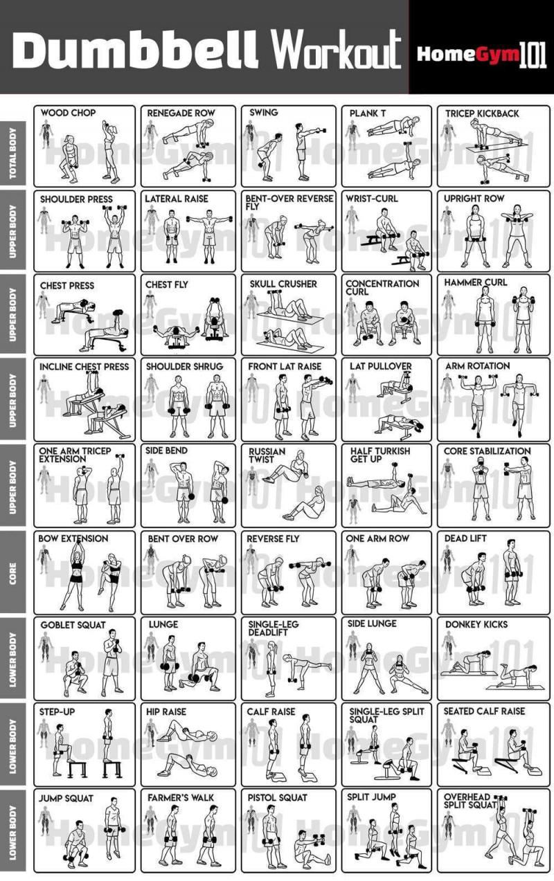 Dreaming of Lifting 200 Pounds. The Ideal Beginner Home Gym Dumbbell Set