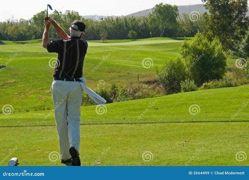 Drivers on the Green: The Complete Guide to Buying and Using Golf Drivers