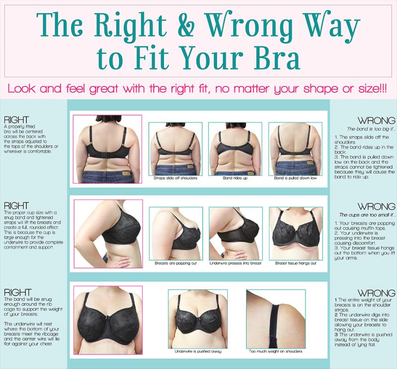 Dsg Bra Size Chart: Everything You Need to Know About Finding Your Perfect Fit