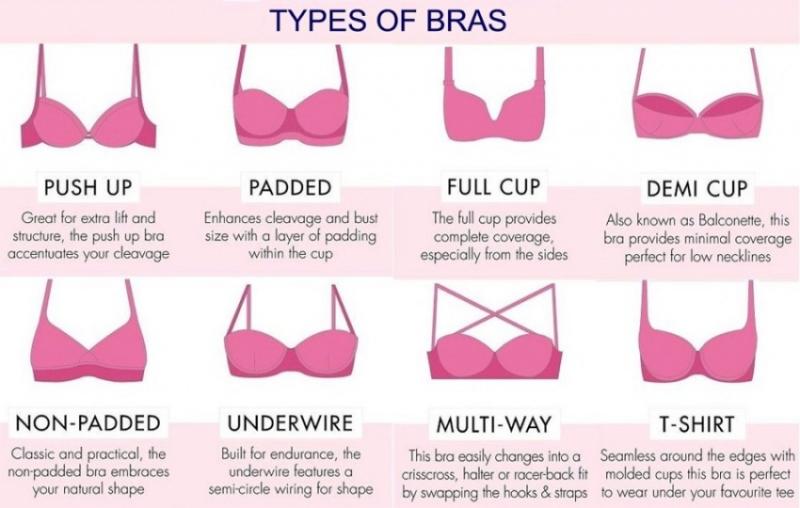 Dsg Bra Size Chart: Everything You Need to Know About Finding Your Perfect Fit