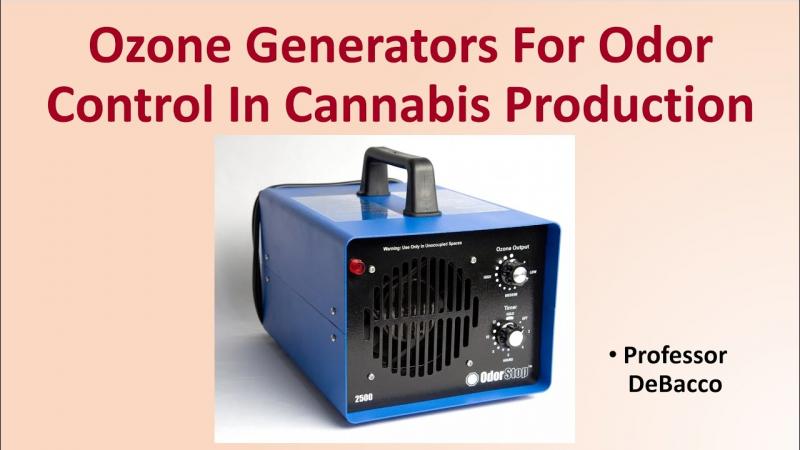 Eliminate Odors For Good: Why You Need A Scent Crusher Ozone Generator