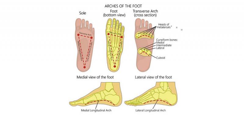 Engaging Interrogatory with Colon: Are These 7 Sof Sole Insoles the Best for Plantar Fasciitis Relief This Year. This Review Has the Fascinating Answer