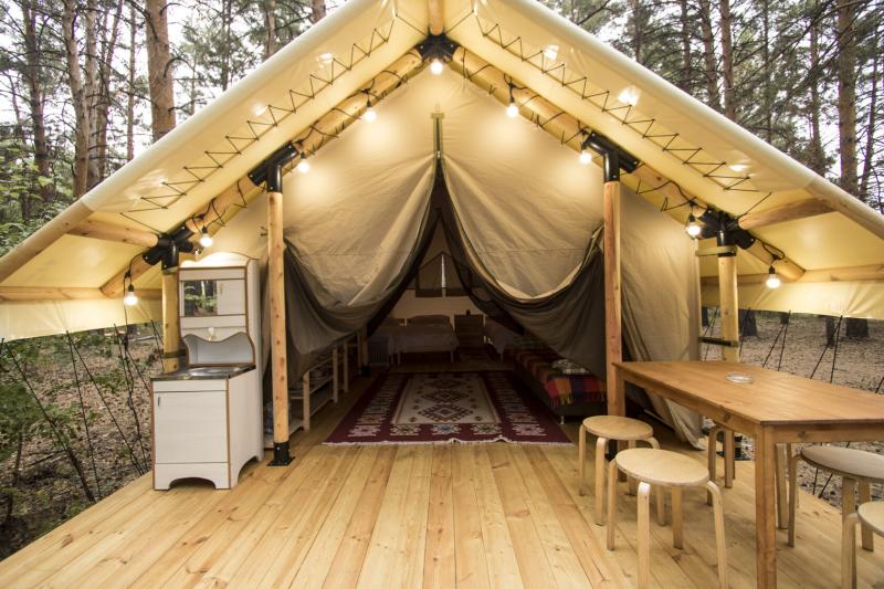 Enjoy Tailgating Like a Champ: 15 Must-Have Accessories to Deck out Your 49ers Canopy Tent