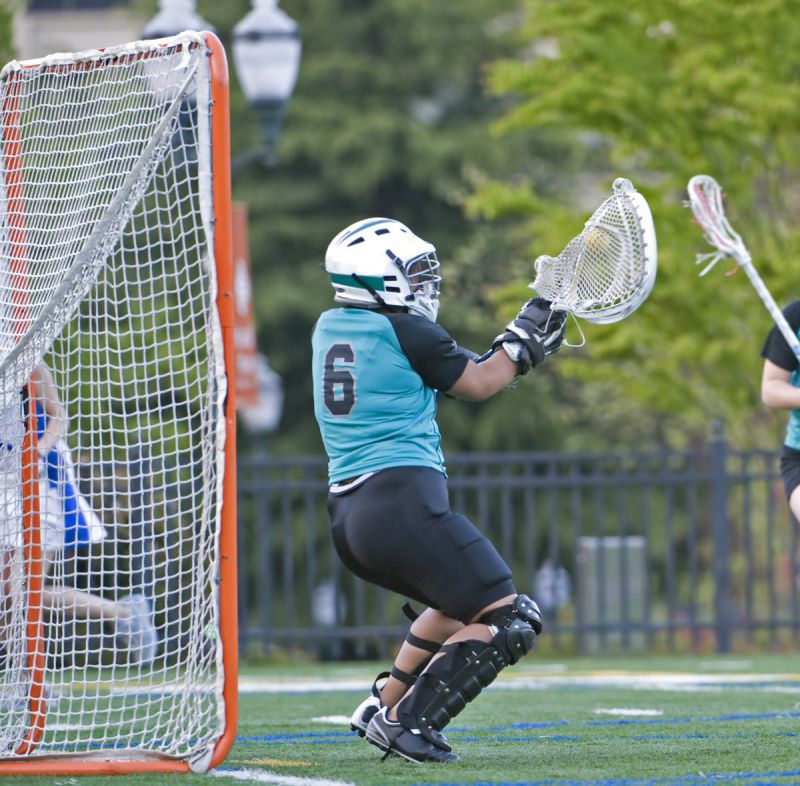 Essential Lacrosse Goalie Sticks for Young Players
