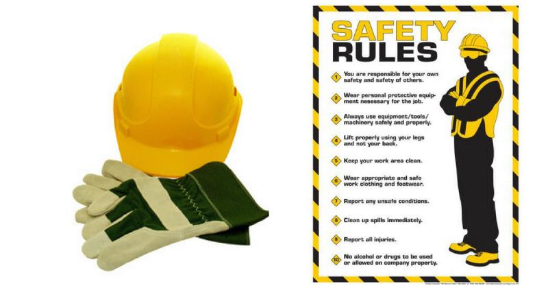 Essential Softball Safety: How to Choose the Right Protective Gear for Your Needs