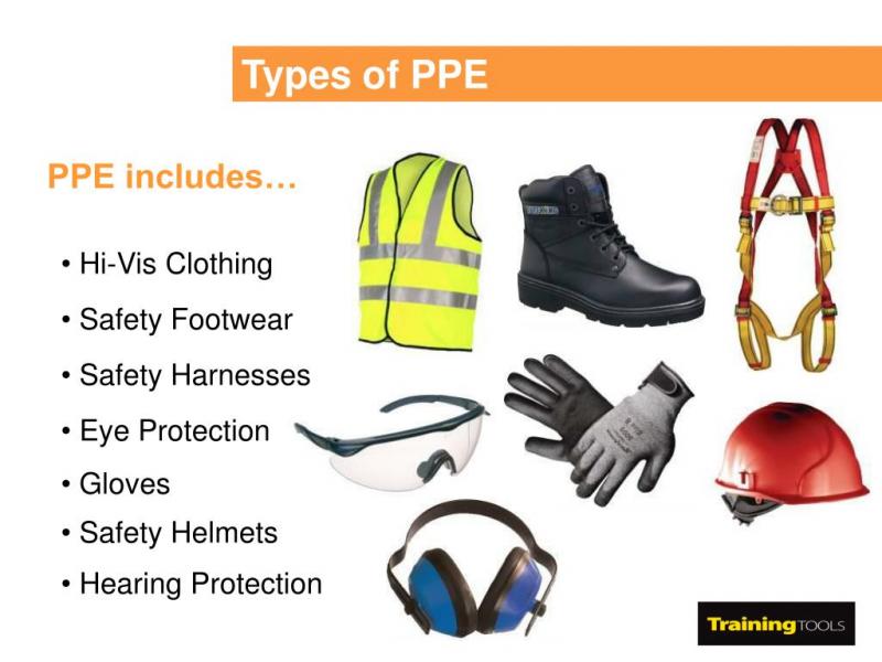 Essential Softball Safety: How to Choose the Right Protective Gear for Your Needs