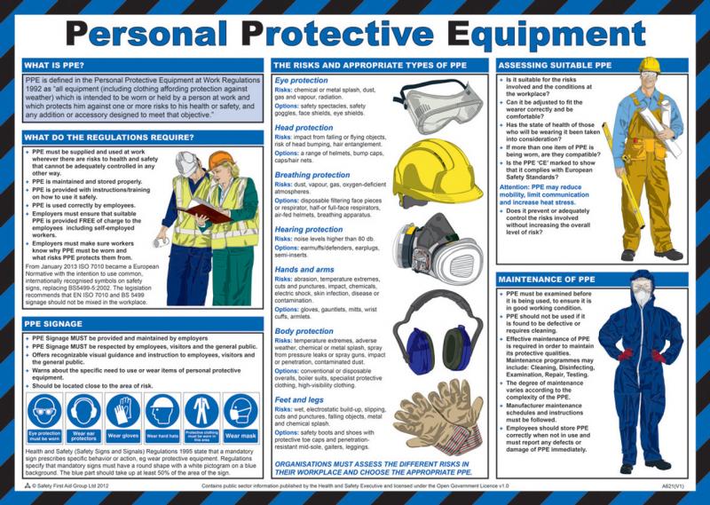 Essential Softball Safety: How to Choose the Right Protective Gear for Your Needs