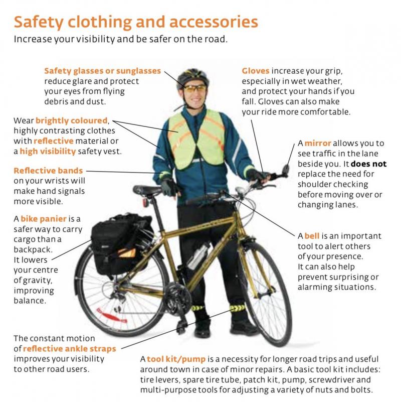 Essential Softball Safety: How to Choose the Right Protective Gear for Your Needs