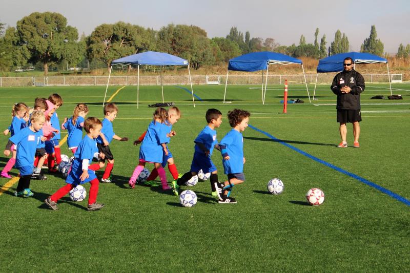 Exciting Youth Recreational Sports Near You This Spring: 14 Tips for Finding the Perfect Soccer League