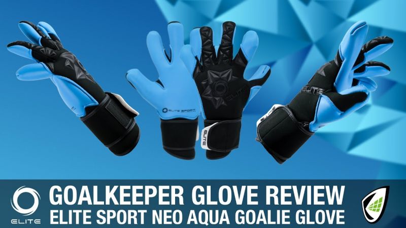 Expert Review of the New Warrior Nemesis Pro Goalie Gloves