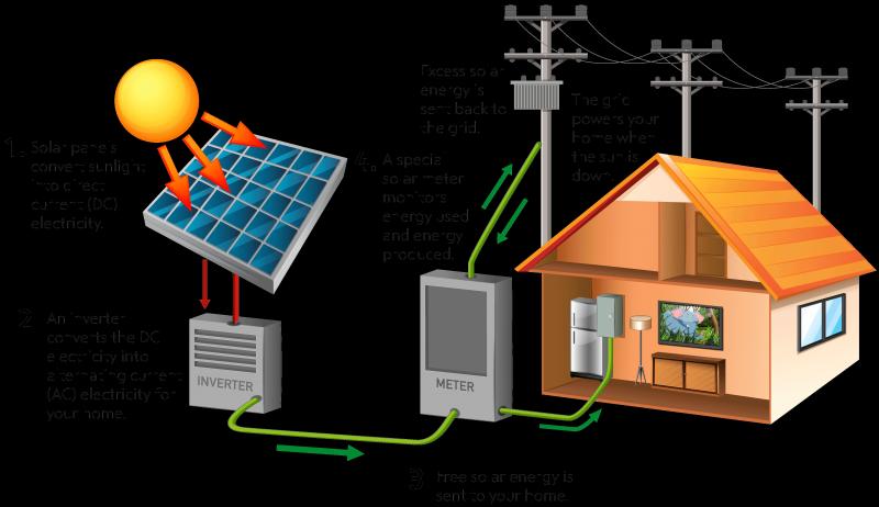 Explore the Benefits of Solar Powered Thermometers for Your Garden: Discover How To Monitor Temperatures and Protect Your Plants