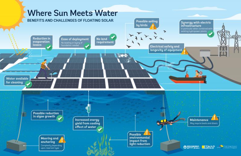 Explore the Benefits of Solar Powered Thermometers for Your Garden: Discover How To Monitor Temperatures and Protect Your Plants