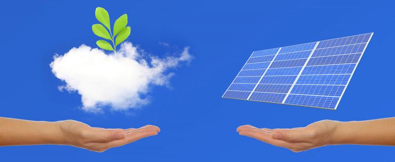 Explore the Benefits of Solar Powered Thermometers for Your Garden: Discover How To Monitor Temperatures and Protect Your Plants