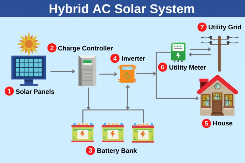 Explore the Benefits of Solar Powered Thermometers for Your Garden: Discover How To Monitor Temperatures and Protect Your Plants