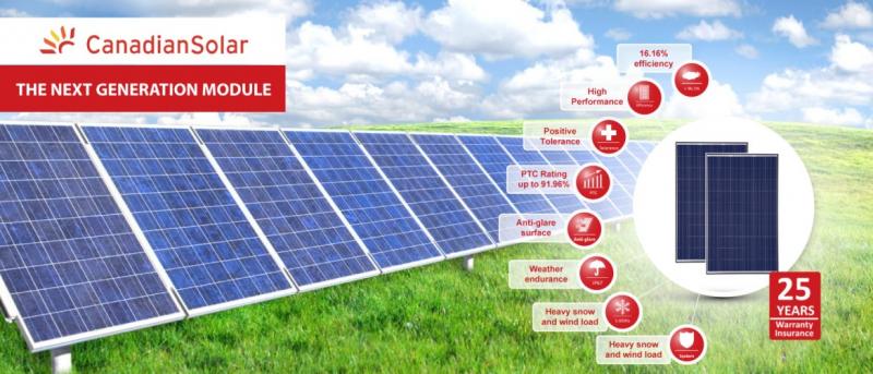 Explore the Benefits of Solar Powered Thermometers for Your Garden: Discover How To Monitor Temperatures and Protect Your Plants