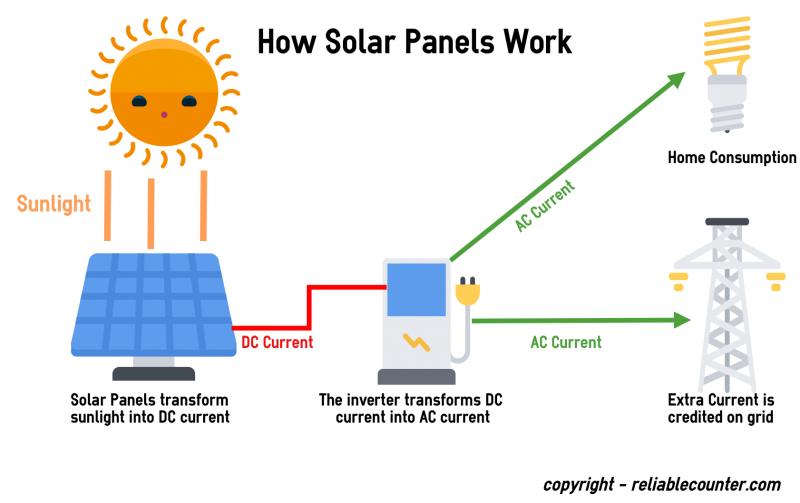 Explore the Benefits of Solar Powered Thermometers for Your Garden: Discover How To Monitor Temperatures and Protect Your Plants