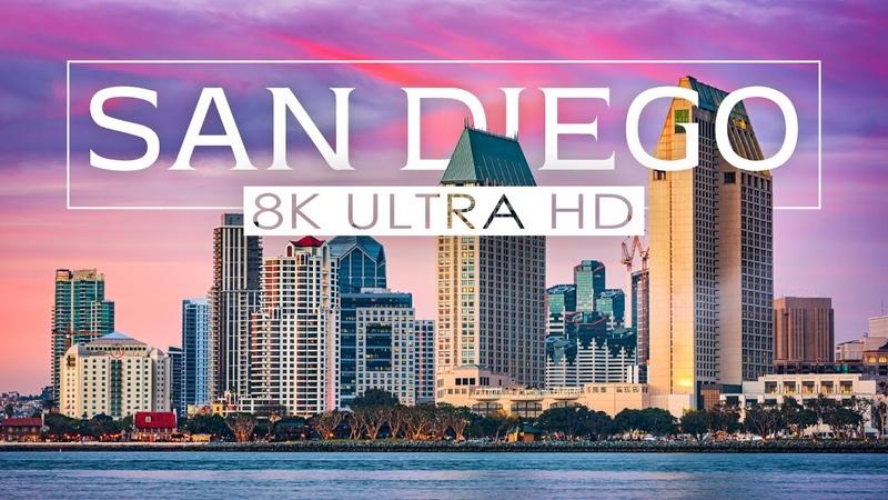Exploring The San Diego Seals: 15 Things You Need to Know About Lacrosse in America