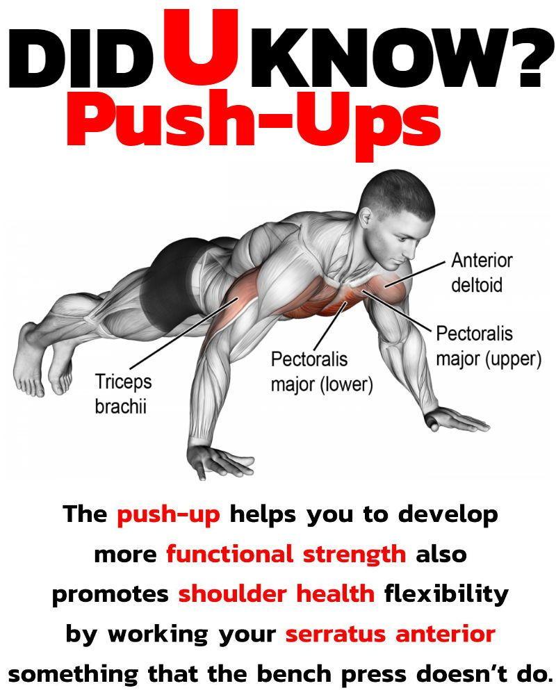 Feel The Burn With This Push Up Variation: Harbinger Push Ups Take Your Workout To New Heights