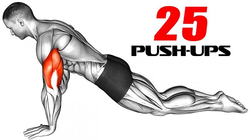 Feel The Burn With This Push Up Variation: Harbinger Push Ups Take Your Workout To New Heights