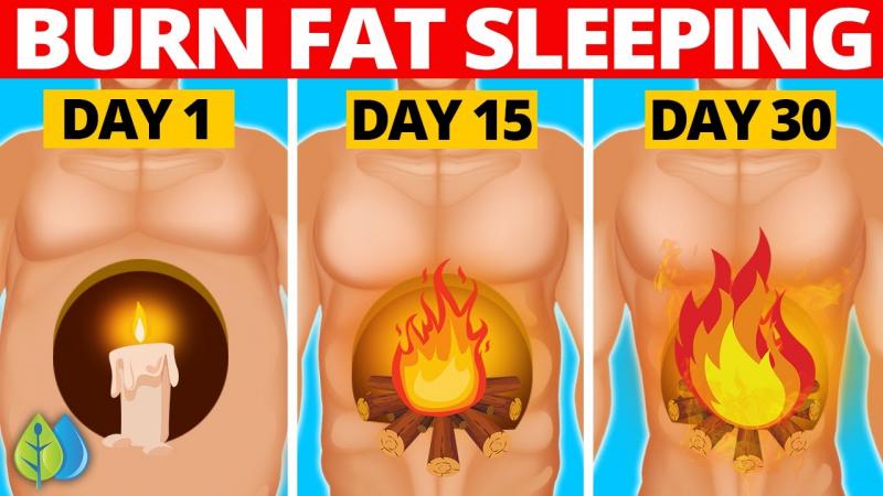 Feel the Burn with Warrior Burn 2 Max: Get Fire in Your Belly with This Next-Level Fat Burner