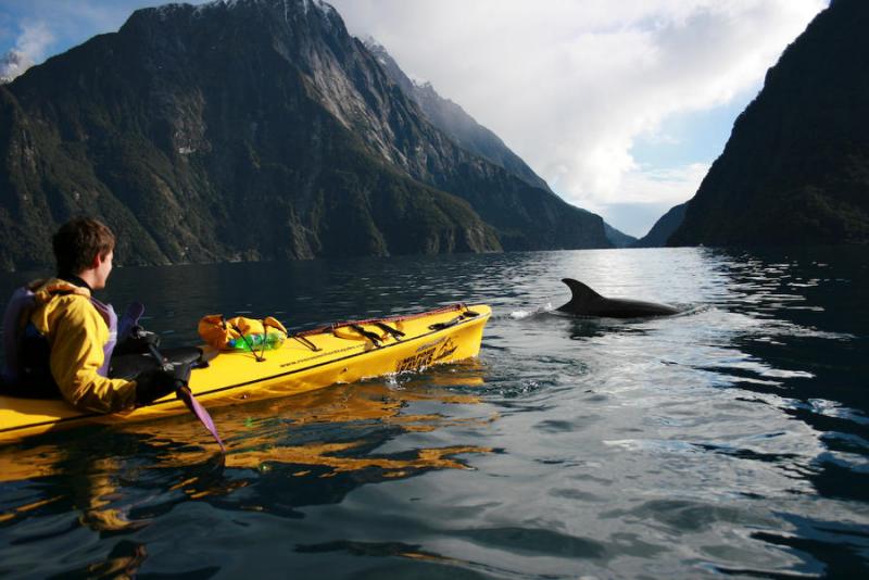 Feeling Adventurous This Summer. Explore The Vibe Yellowfin 120 Kayak