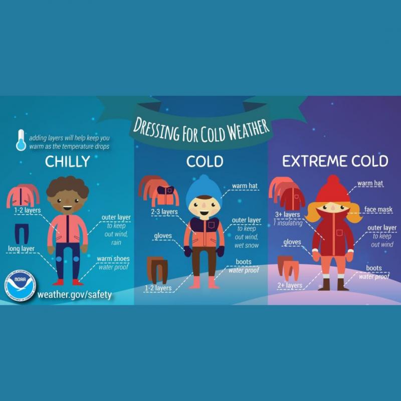 Feeling Chilly This Winter. Discover The Top Phillies Hats To Keep You Warm