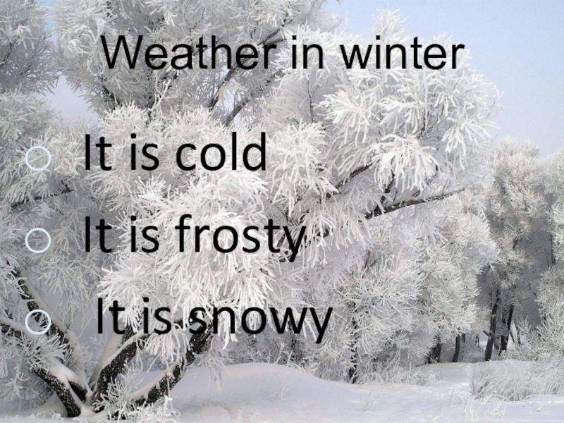 Feeling Frosty This Winter. Find The Best Ski Gloves Under $50 Here