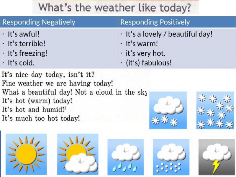 Feeling Hot This Summer. Learn How to Stay Cool with These 15 Weather App Tips