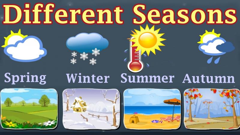 Feeling Hot This Summer. Learn How to Stay Cool with These 15 Weather App Tips