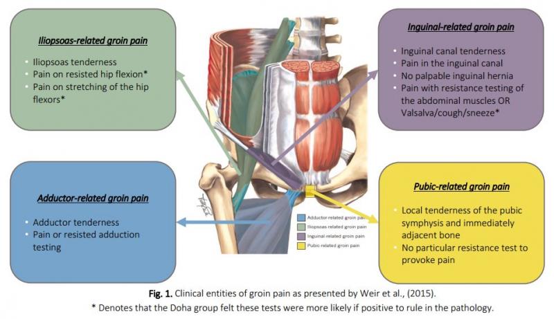 Feeling Thigh and Groin Pain During Sports. Here