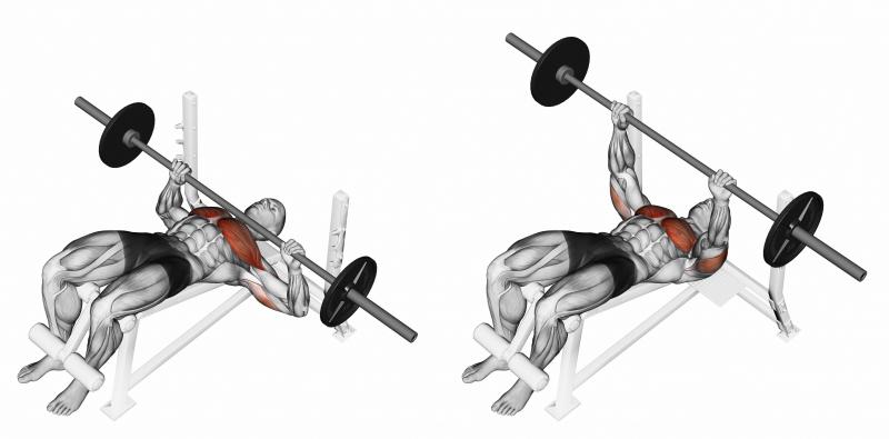 Feeling Weak On The Bench Press. The 15 Best Powerblock Bench Exercises To Build Strength Fast