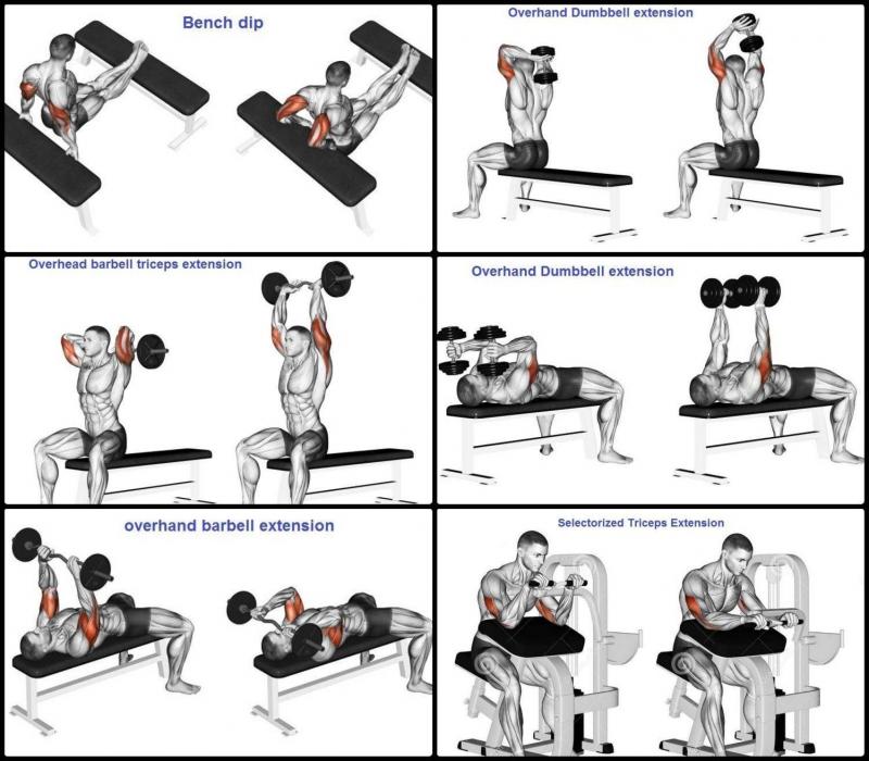 Feeling Weak On The Bench Press. The 15 Best Powerblock Bench Exercises To Build Strength Fast