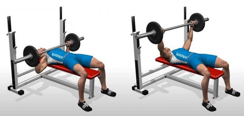 Feeling Weak On The Bench Press. The 15 Best Powerblock Bench Exercises To Build Strength Fast