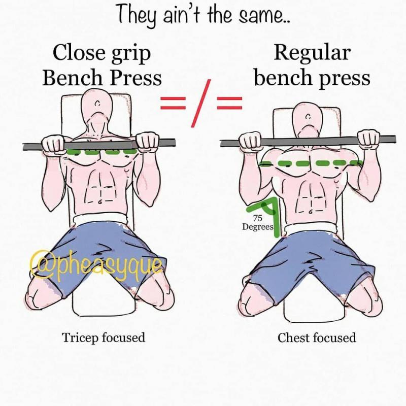 Feeling Weak On The Bench Press. The 15 Best Powerblock Bench Exercises To Build Strength Fast