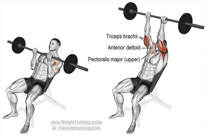 Feeling Weak On The Bench Press. The 15 Best Powerblock Bench Exercises To Build Strength Fast