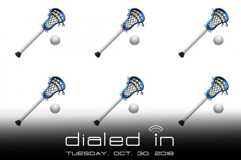 Fiddlestix Lacrosse: Mini Sticks Redefined