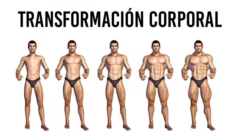 Find The Perfect Compression Gear For Men: How To Choose The Ideal Compression Clothes That Enhance Workouts